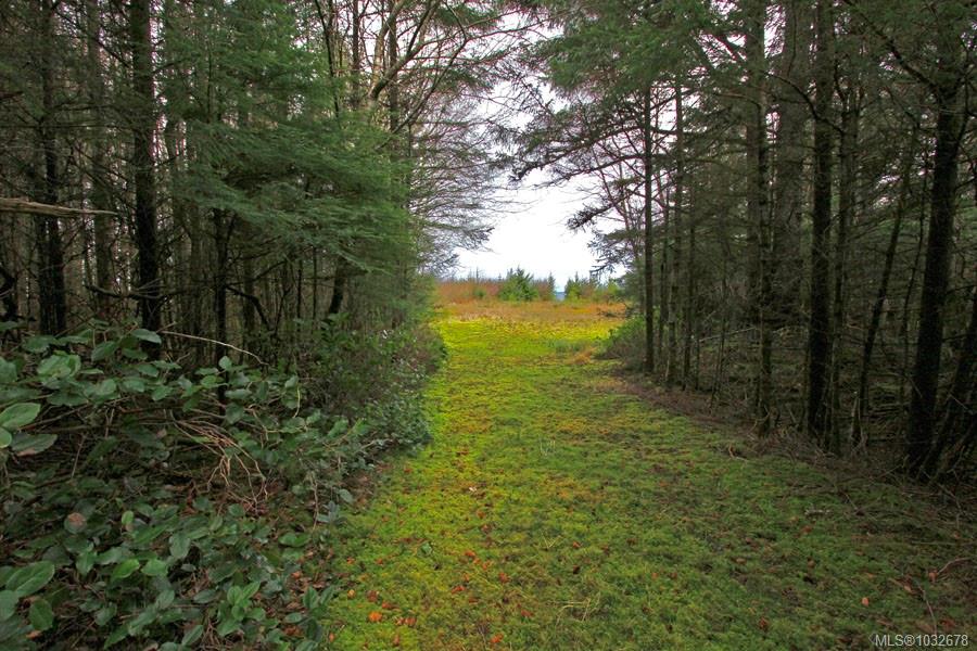 Fifth View of 12531 Tow Hill Rd, Masset, BC, V0T 1M0