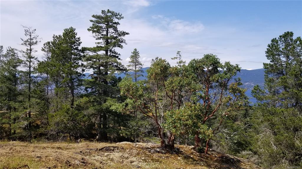 Fifth View of A Millicheap Rd, Lasqueti Island, BC, V0R 2J0