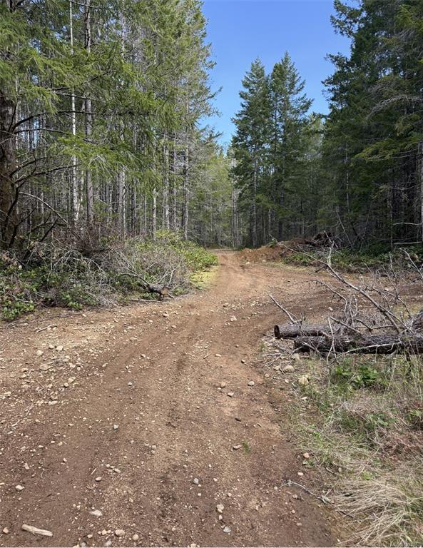 Fourth View of Lot A Anderson Ave, Bowser, BC, V0R 1G0