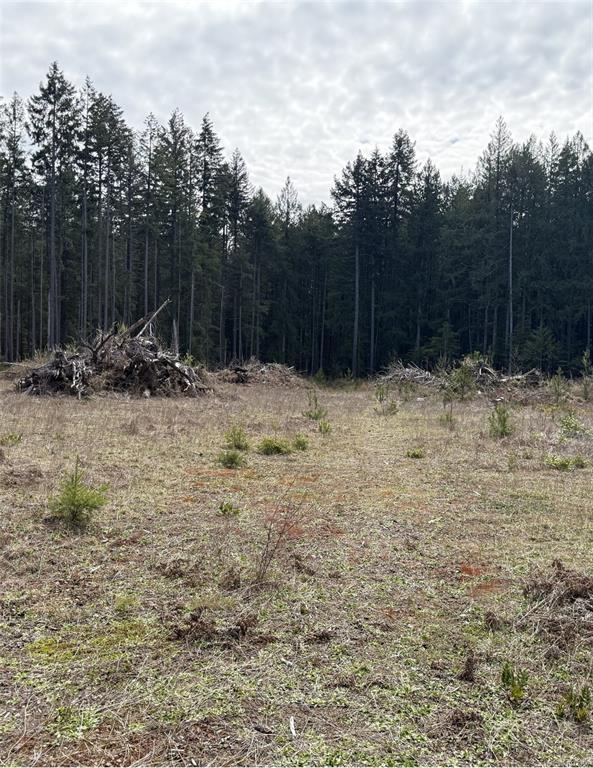 Fifth View of Lot A Anderson Ave, Bowser, BC, V0R 1G0