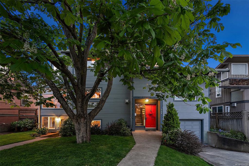 248 Richmond Ave, 1033108, BC,