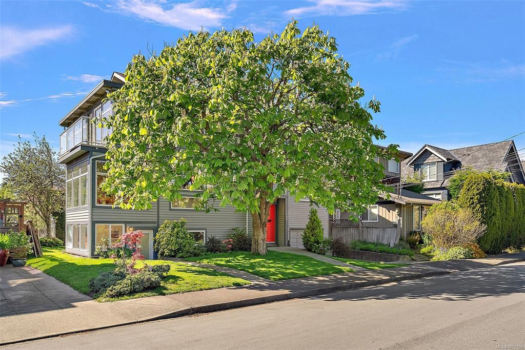 Fifth View of 248 Richmond Ave, Victoria, BC, V8S 3X8