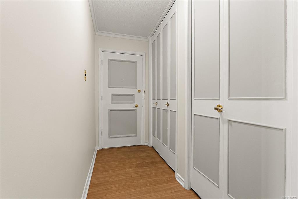 Third View of 964 Heywood Ave, Villa Royale, Victoria, BC, V8V 2Y5