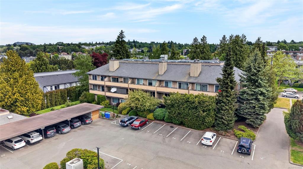3225 Alder St, 1034031, BC,