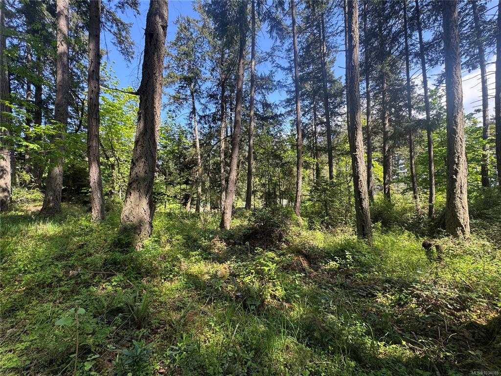 103 Captain Morgans Blvd, 1034085, BC,