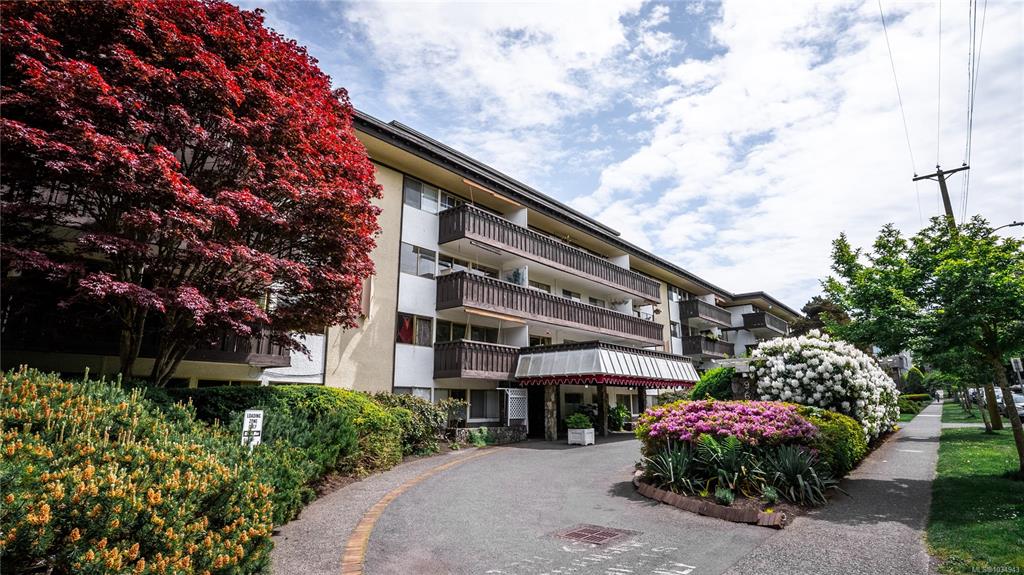 Third View of 964 Heywood Ave, Villa Royale, Victoria, BC, V8V 2Y5