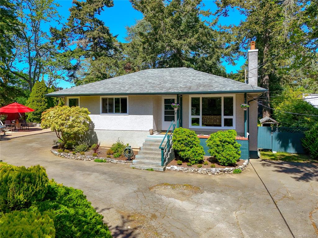 164 Island Hwy, 1034968, BC,