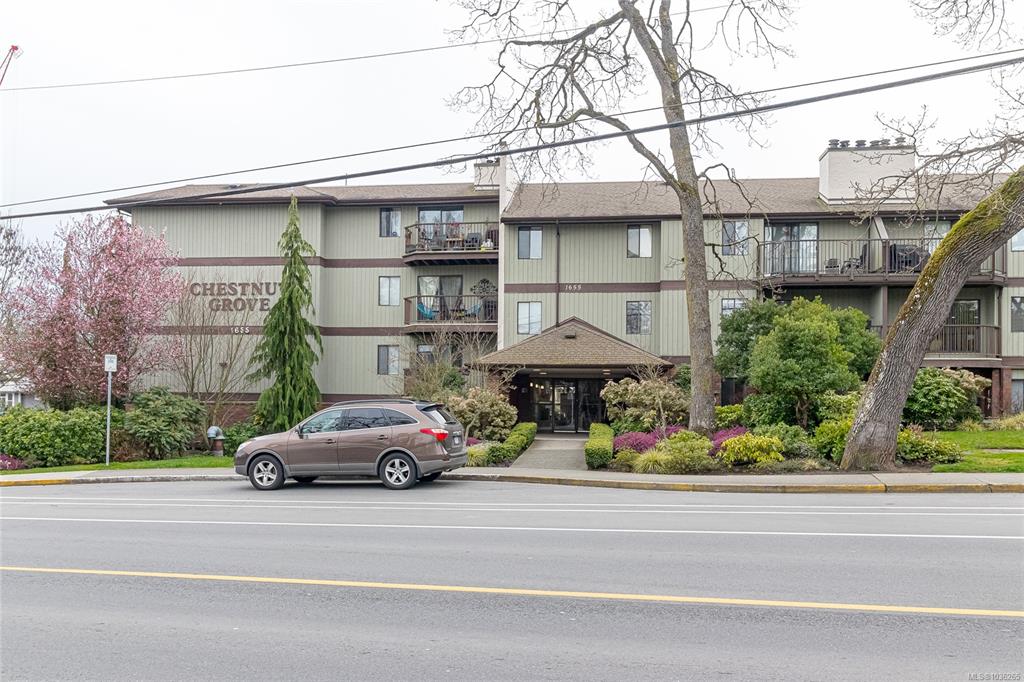 Third View of 1655 Begbie St, Victoria, BC, V8R 1L4