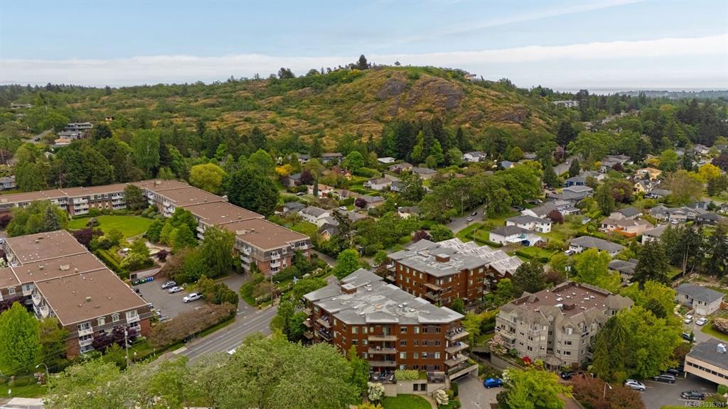 Third View of 3614 Richmond Rd, Saanich, BC, V8P 4R5