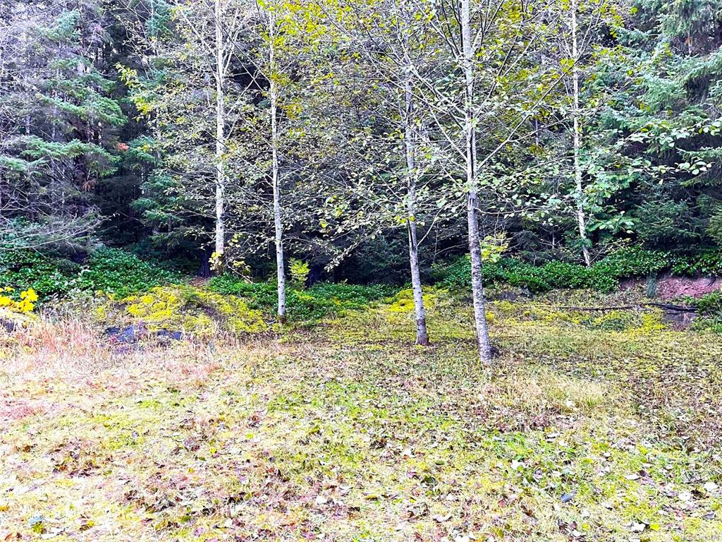 Third View of 35314 Highway 16, Sandspit, BC, V0T 1Y0