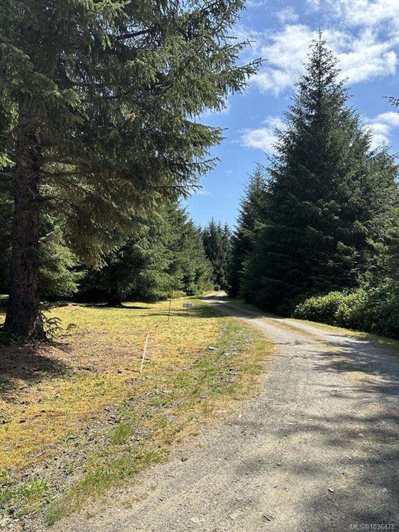 Fourth View of 35314 Highway 16, Sandspit, BC, V0T 1Y0