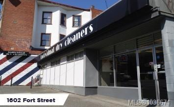 Third View of 1602 1608 Fort St, Victoria, BC, V8R 1H9