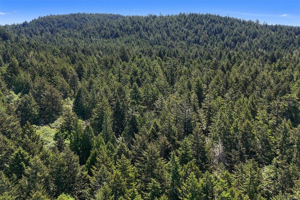 Fourth View of Lot 1 East Sooke Rd, Sooke, BC, V9Z 1A8