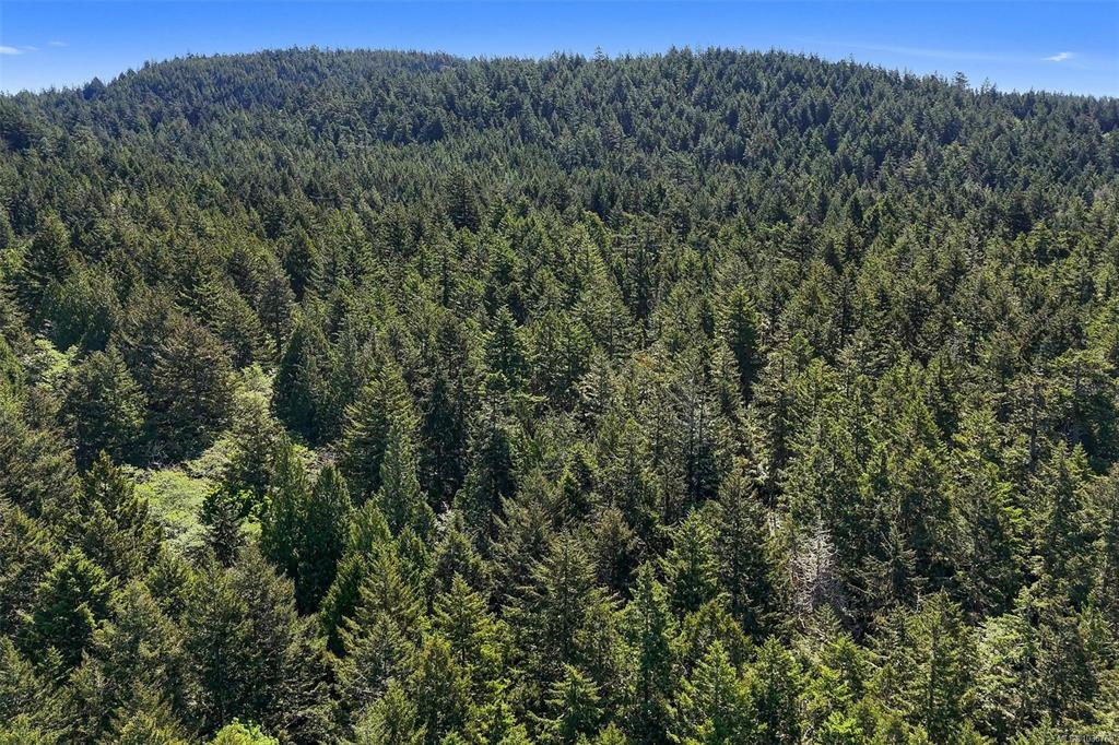 Fourth View of Lot 2 East Sooke Rd, Sooke, BC, V9Z 1A8