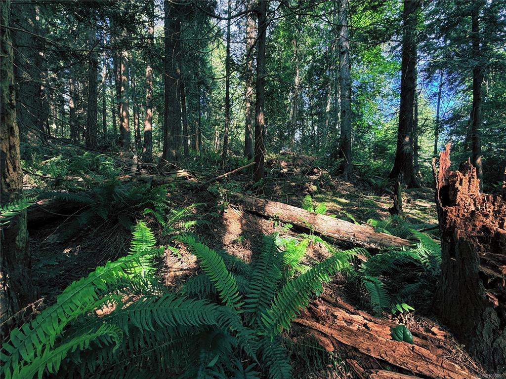 Second View of Lot 6 Spruce Ave, Gabriola Island, BC, V0R 1X1