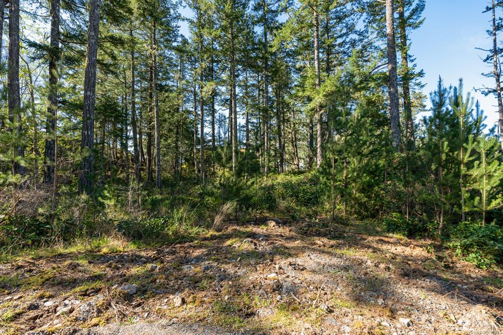 Fifth View of 1515 Nighthawk Lane, Sooke, BC, V9Z 1M9