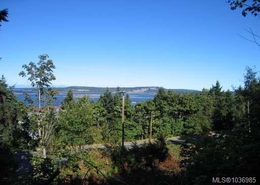 Fifth View of 911 Haliburton St, Nanaimo, BC, V9R 4W1