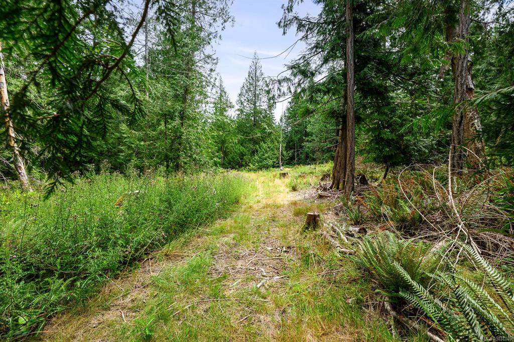 Fifth View of Lot 1 Sollans Rd, Hornby Island, BC, V0R 1Z0