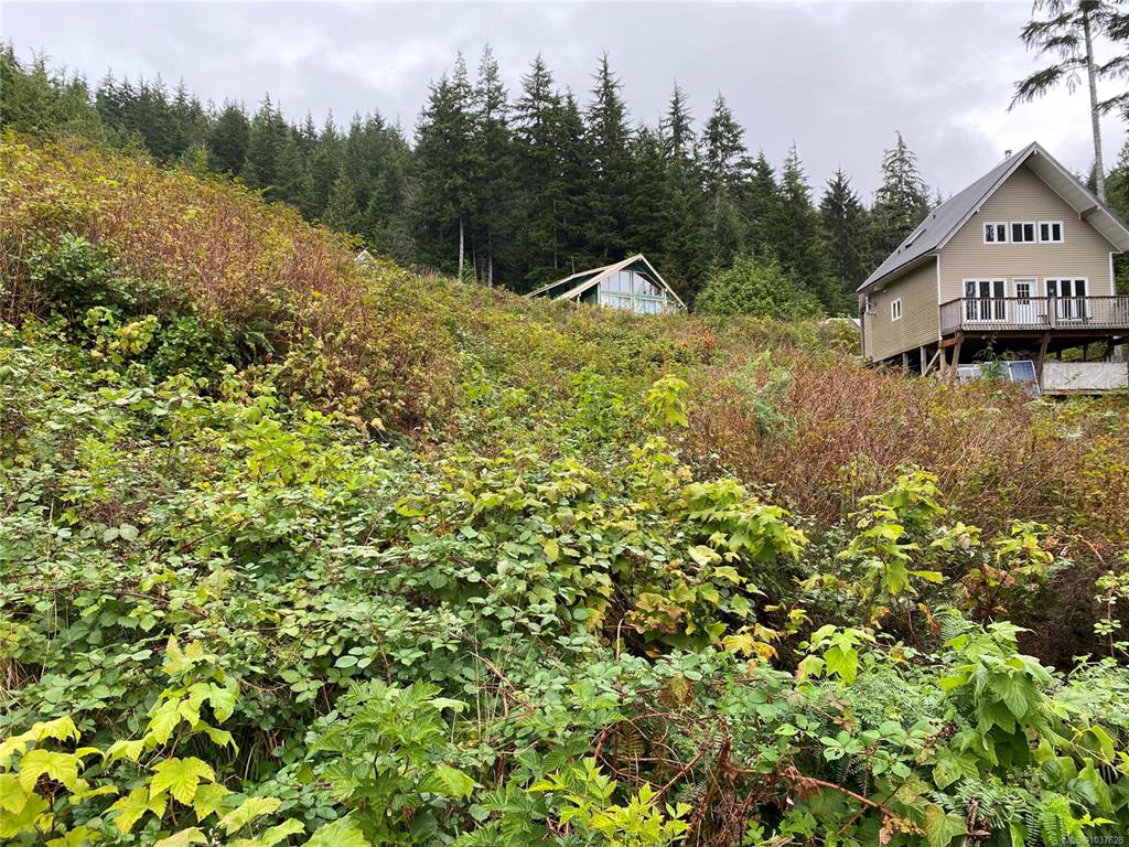 Second View of Lt 65 Haggard Cove, Port Alberni, BC, V0R 2B0