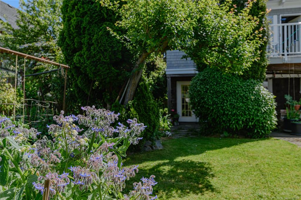 Fourth View of 842 Princess Ave, Victoria, BC, V8T 1K7