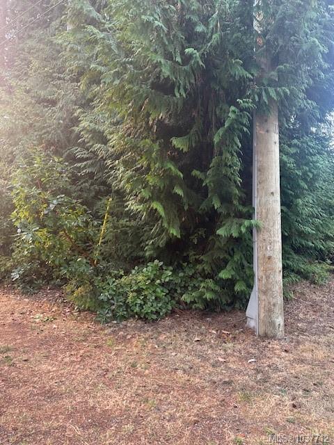 Fourth View of 156 Harlech Rd, Qualicum Beach, BC, V9K 1G9