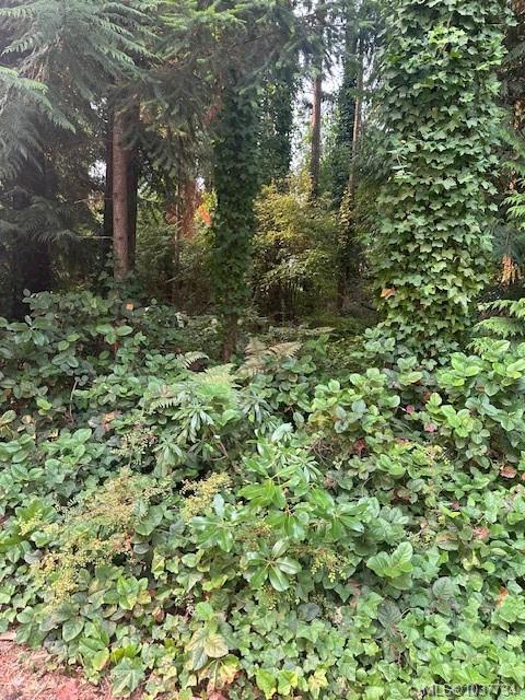 Third View of 160 Harlech Rd, Qualicum Beach, BC, V9K 1G9