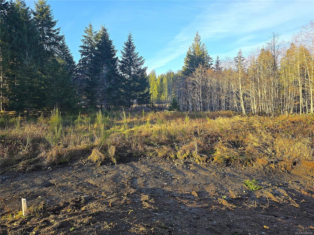 Fourth View of 2831 Burde St, Port Alberni, BC, V9Y 7M4