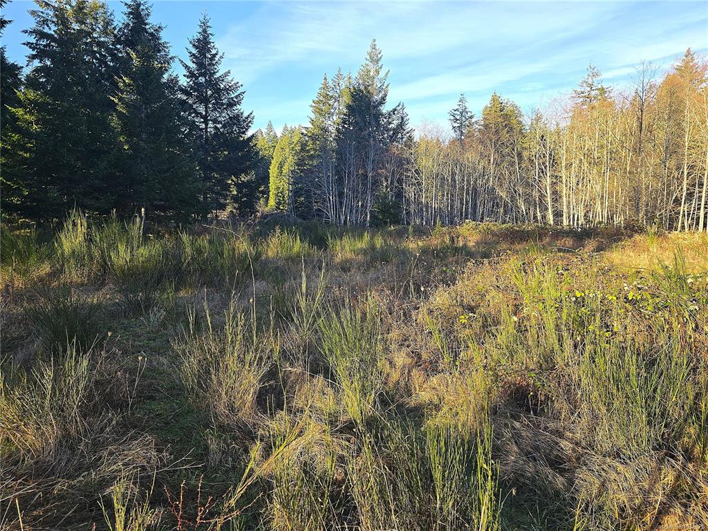 Fifth View of 2831 Burde St, Port Alberni, BC, V9Y 7M4