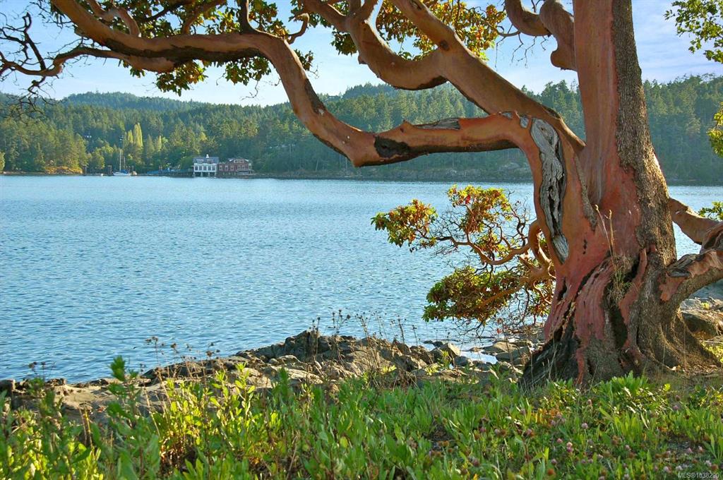 0 Fane Island, 1038290, BC,