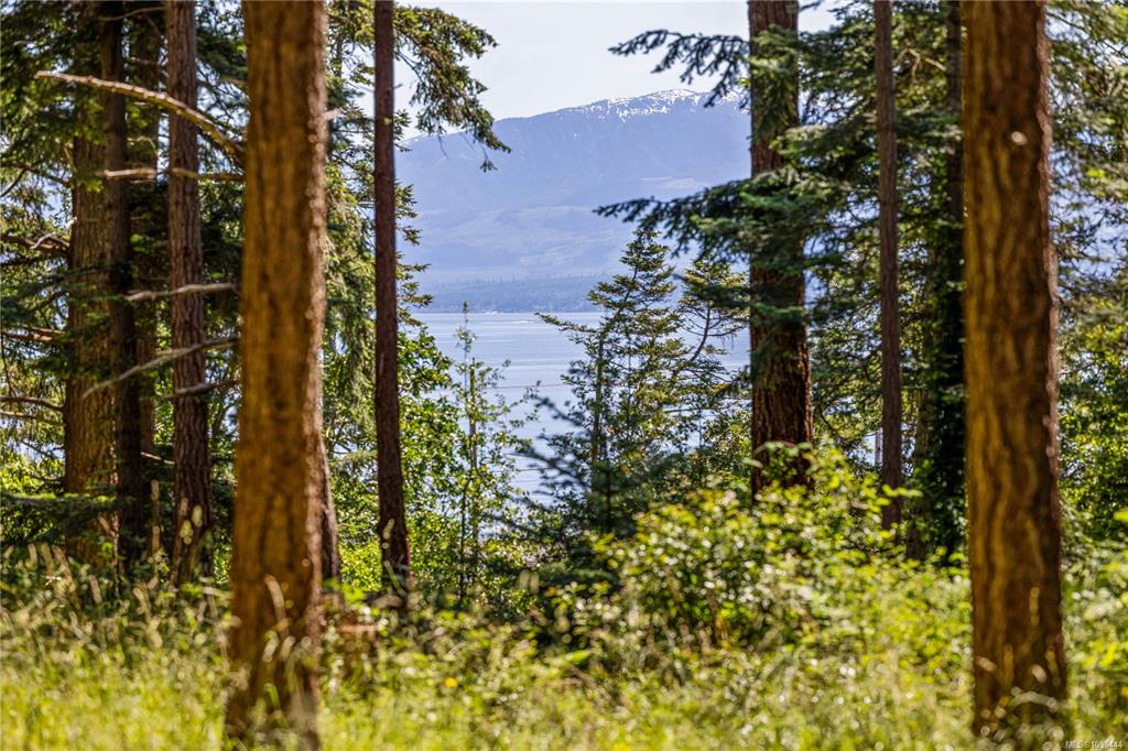 Fifth View of 348 Lazo Rd, Comox, BC, V9M 3T9