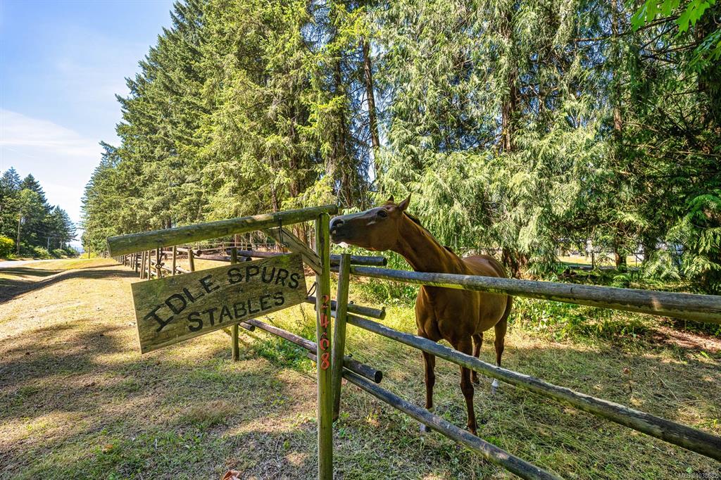 Third View of 2468 Endall Rd, Black Creek, BC, V0R 1C0