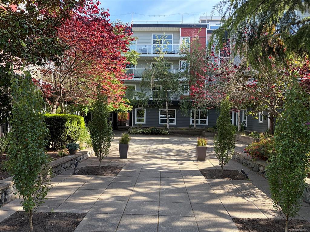 1315 Esquimalt Rd, 1039007, BC,