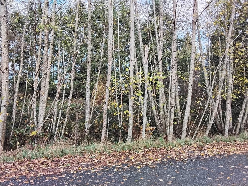 Second View of Lot E Tatton Rd, Courtenay, BC, V9N 7E4