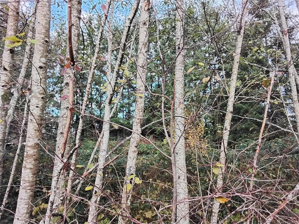 Fourth View of Lot E Tatton Rd, Courtenay, BC, V9N 7E4