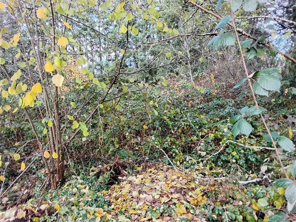 Fifth View of Lot E Tatton Rd, Courtenay, BC, V9N 7E4