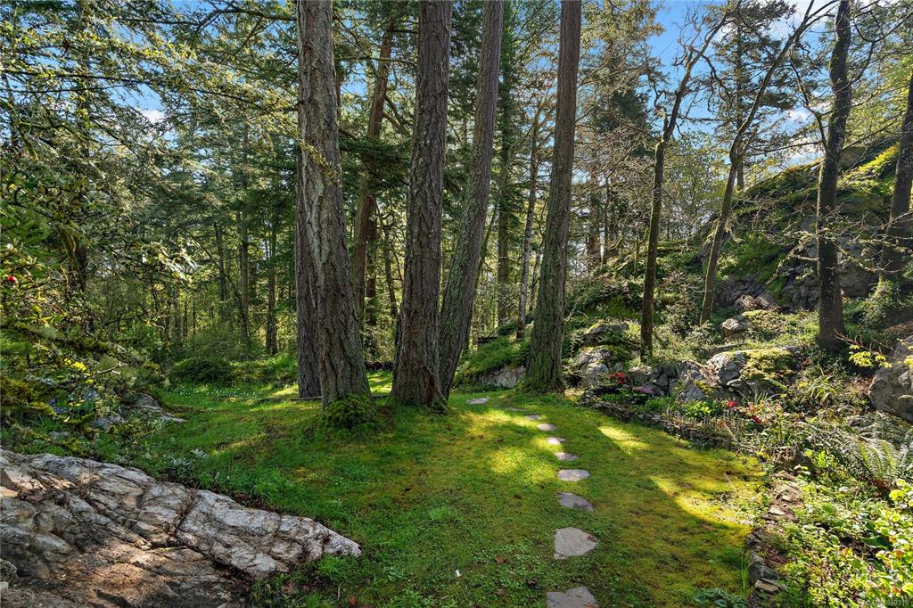 Fourth View of 4513 Edgewood Pl, Saanich, BC, V8X 2N8