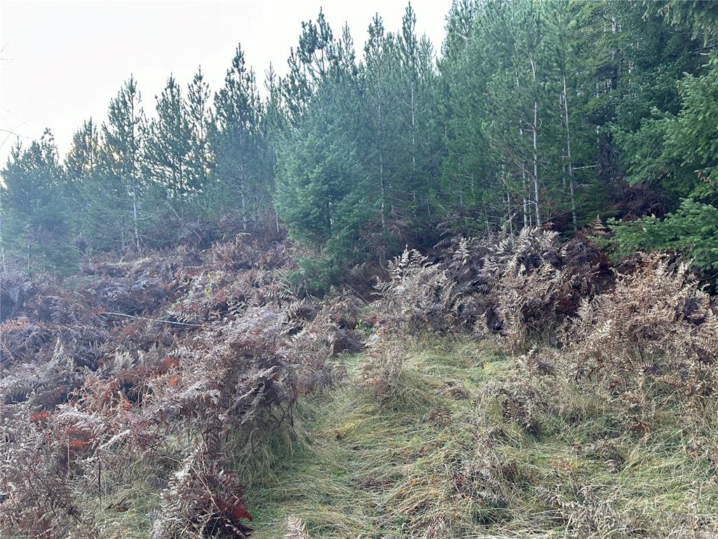 Third View of 606 Scout Lake Rd, Gold River, BC, V0P 1G0
