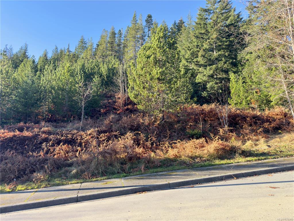 Third View of 604 Scout Lake Rd, Gold River, BC, V0P 1G0