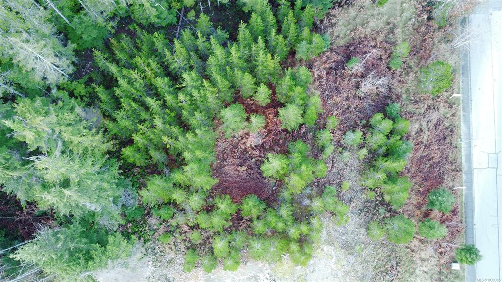 Fourth View of 604 Scout Lake Rd, Gold River, BC, V0P 1G0