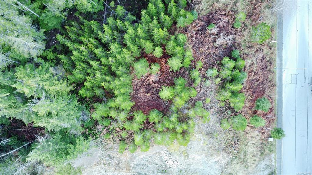 Fifth View of 604 Scout Lake Rd, Gold River, BC, V0P 1G0