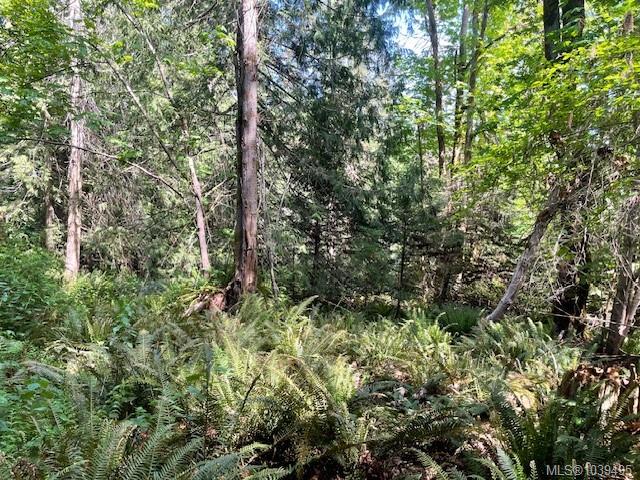 Fourth View of Lot 8 Rainbow Rd, Salt Spring, BC, V8K 2M7