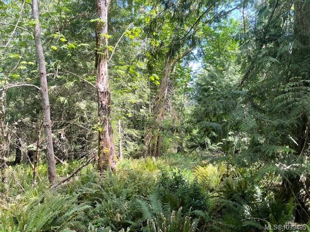 Fifth View of Lot 8 Rainbow Rd, Salt Spring, BC, V8K 2M7