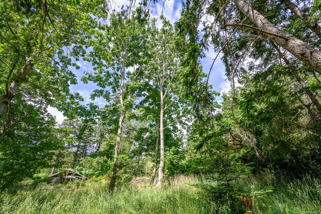 4920 Kirk Rd, 1039554, BC,