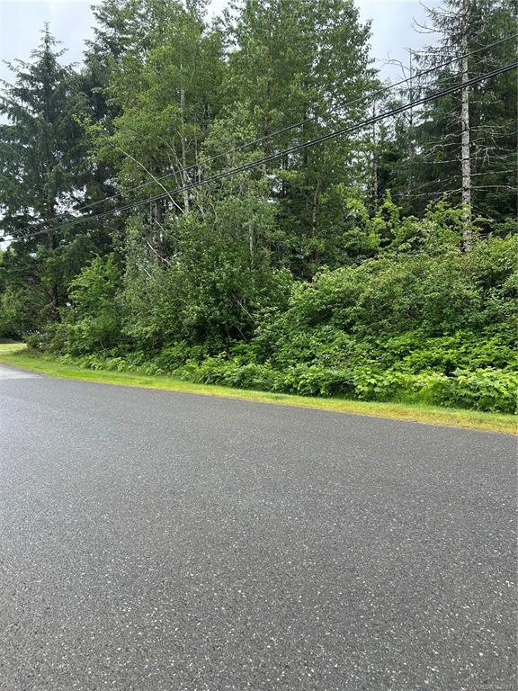 Second View of Lot 3 Despins Rd, Sayward, BC, V0P 1R0