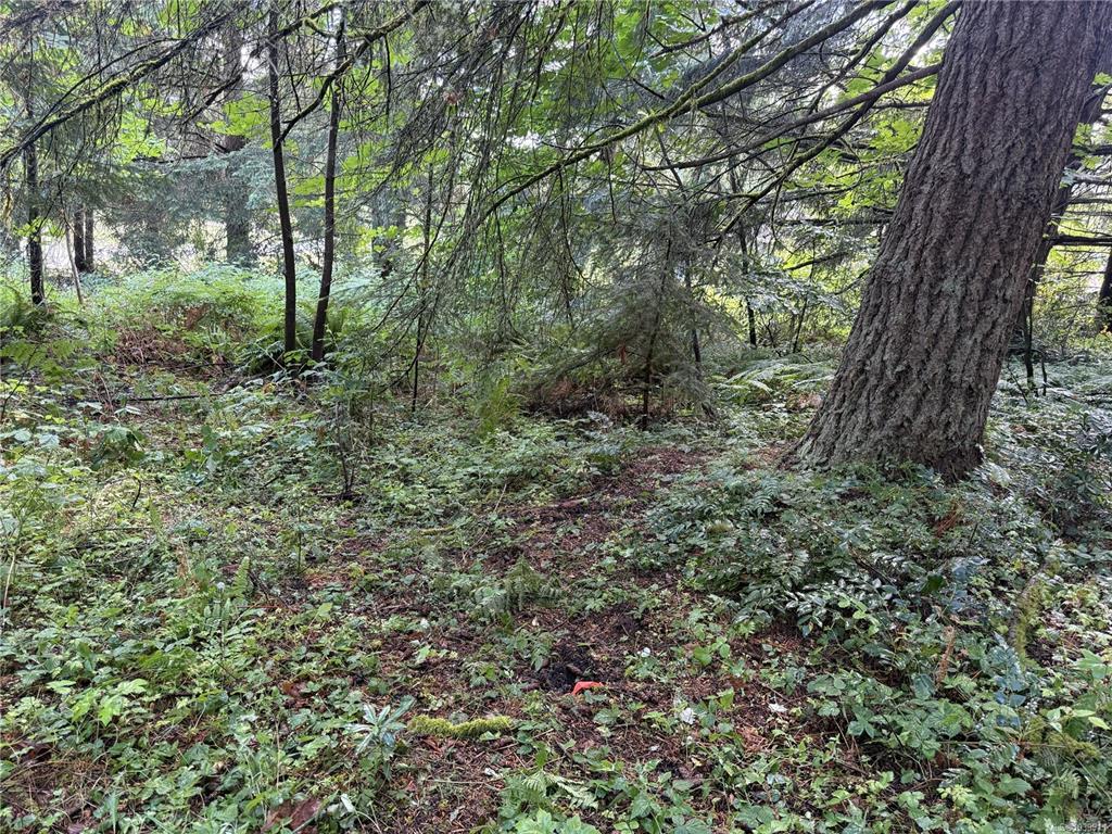 Third View of Dl 106 Grouhel Rd, Ladysmith, BC, V9G 1J5