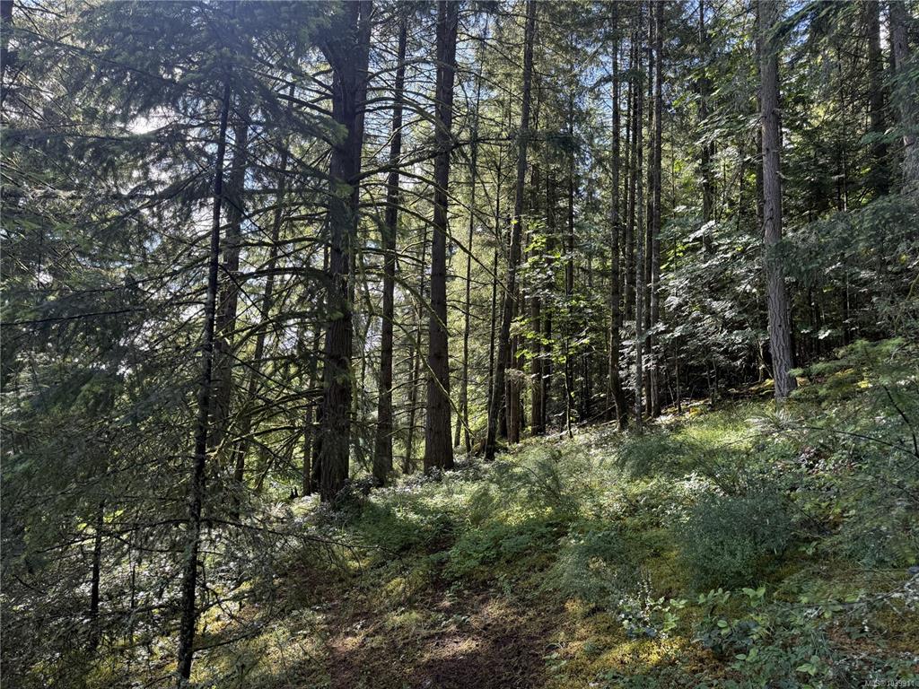 Fifth View of Dl 106 Grouhel Rd, Ladysmith, BC, V9G 1J5