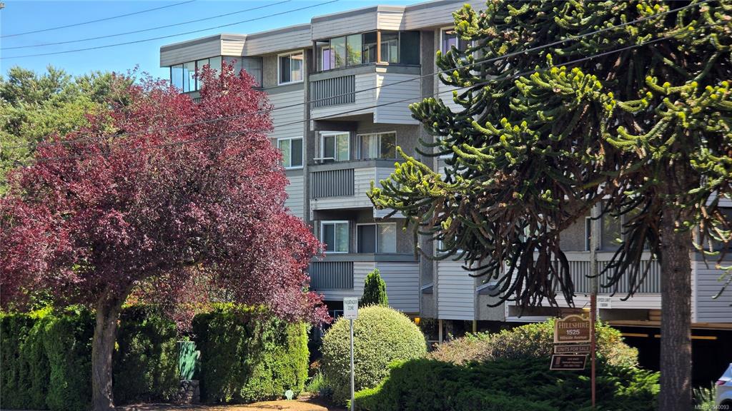 Second View of 1525 Hillside Ave, Victoria, BC, V8T 2C1