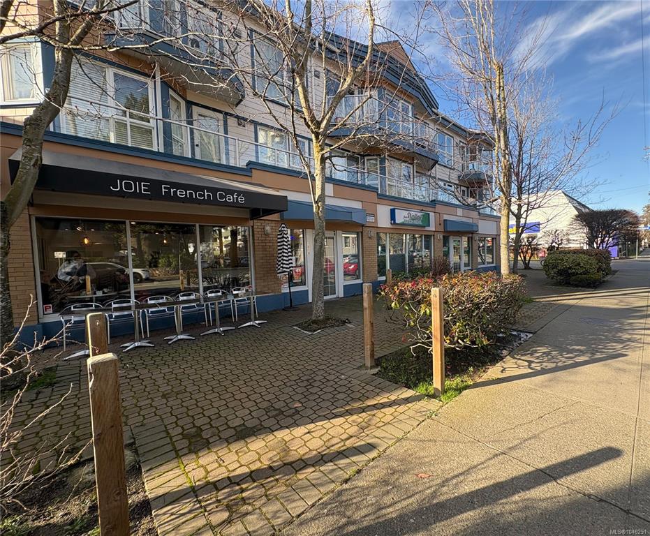 Fifth View of 1620 Cook St, Victoria, BC, V8T 3P1