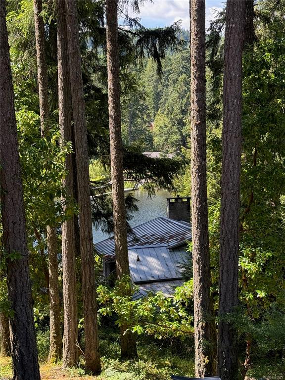 Fourth View of 2446 Sommer Lane, Shawnigan Lake, BC, V0R 2W1
