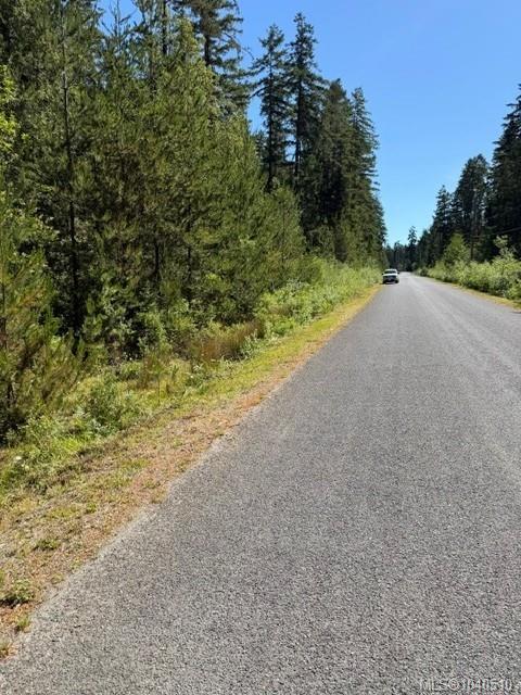 Lot 3 Palmer Rd, 1040510, BC,